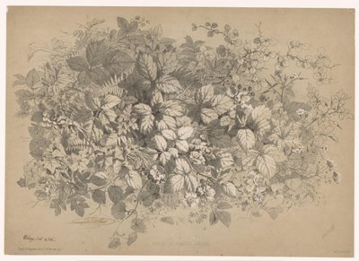 Bramen en andere planten Brambles ve çeşitli bitkiler (nesne üzerindeki başlık) Planten en bloemen (seri başlığı) Doğadan alınmış ve Bléry tarafından taş baskılı endüstriyel kılavuz (seri başlığı) by Eugene Bléry