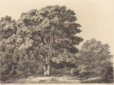 Ormana Giriş, 1840. by Eugene Bléry