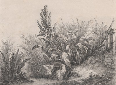 Büyük Su Rıhtım Tesisi, 1840. by Eugene Bléry