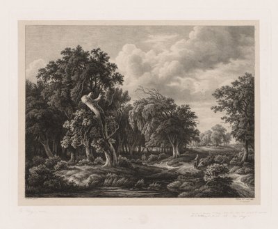 Doğadan Sonra Çizilmiş Çeşitli Bitki Grupları: No. 7, 1855. by Eugene Bléry