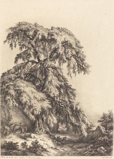 Ardıç Ağacı, 1840. by Eugene Bléry