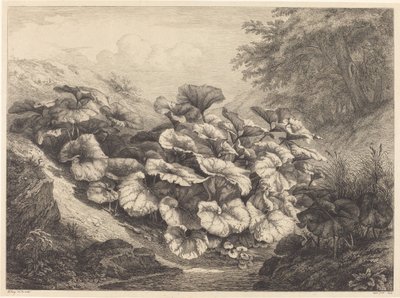 Büyük Öksürük, 1843. by Eugene Bléry