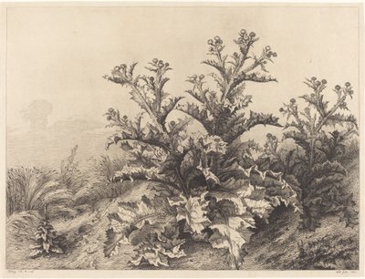 Devedikeni by Eugene Bléry