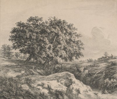 Bir Ravine tarafından Meşe Ağacı, 1845. by Eugene Bléry