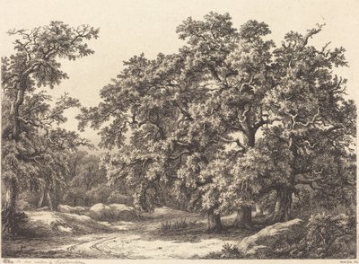 meşe by Eugene Bléry