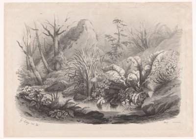 Oeverplanten bij een beek Çeşitli planten (seri başlığı) Doğa üzerine çizilmiş ve taş baskılı çeşitli bitki grupları (seri başlığı) by Eugene Bléry