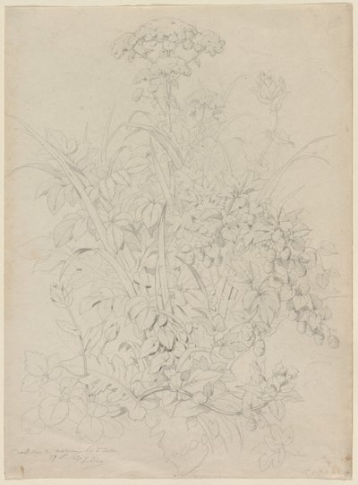 Bitki Çalışması by Eugene Bléry