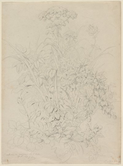 Bitki Çalışması, 1857. by Eugene Bléry