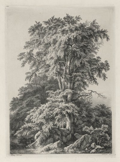 Doğadan Sonra Çizilmiş ve Oyulmuş Çalışmalar: The Beach, Fontainbleau by Eugene Bléry