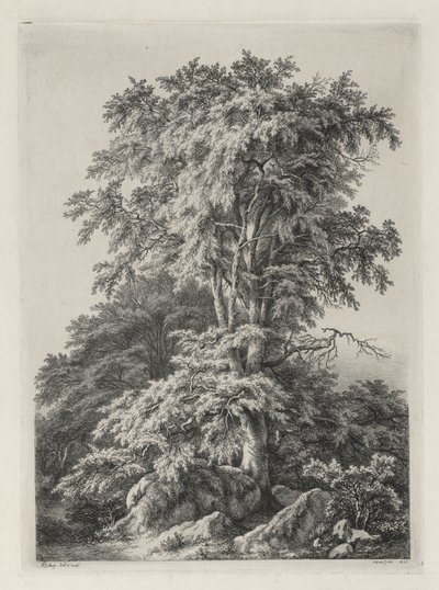 Doğadan Sonra Çizilmiş ve Oyulmuş Çalışmalar: The Beach, Fontainbleau..., 1840. by Eugene Bléry
