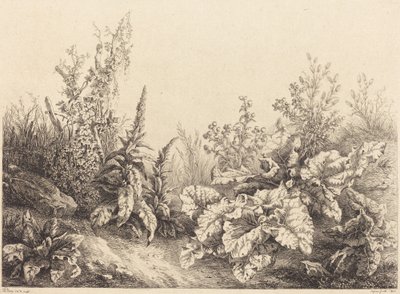 Bir Dulavratotu Çalışması by Eugene Bléry