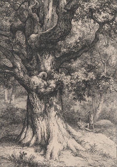 Charlemagne, Kartal Yuvalı Meşe Ağacı, 1845. by Eugene Bléry