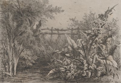 Gölet, 1857. by Eugene Bléry