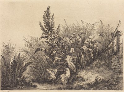 Su İskelesi by Eugene Bléry