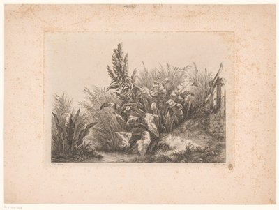 Waterzuring en riet aan de oever Doğadan Çizilmiş ve Oyulmuş Küçük Oyuk Çalışmalarında Su Sabır (...) (dizi başlığı) by Eugene Bléry