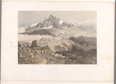 Chamonix Vadisi