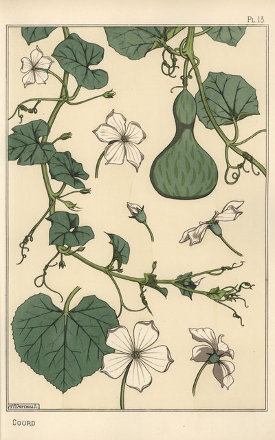 Kabak botanik çizimi by Eugene Grasset