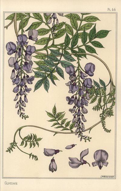 Glisin botanik çalışması by Eugene Grasset