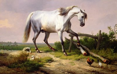 Koyun ve kümes hayvanları ile gri bir aygır by Eugene Joseph Verboeckhoven
