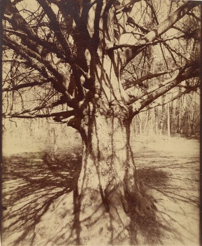  by Eugène Atget