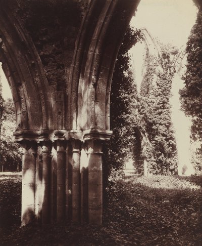 Dammarie-les-Lys, kalıntılar by Eugène Atget