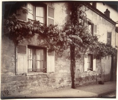 Glisin (Wisteria), Chtillon by Eugène Atget