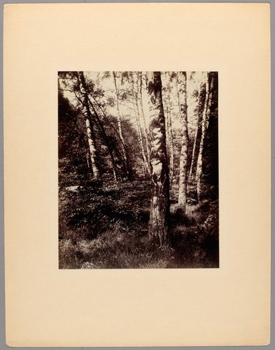  by Eugène Atget