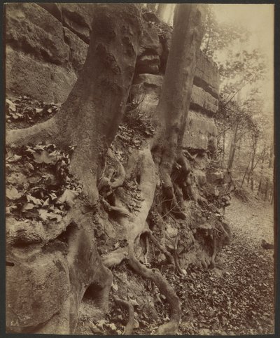  by Eugène Atget