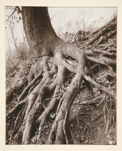 Saint-Bulut by Eugène Atget