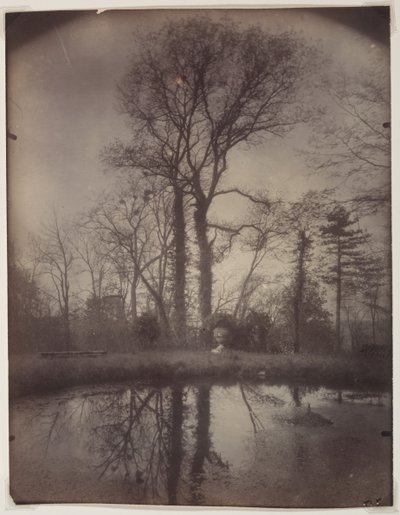 Sceaux'daki Park [Nisan 1925, 07:00] by Eugène Atget