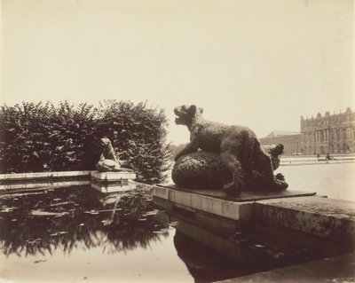 Versailles, Fontaine du Point du Jour, Tiger Slaying a Bear, Houzeau, 1903. by Eugène Atget