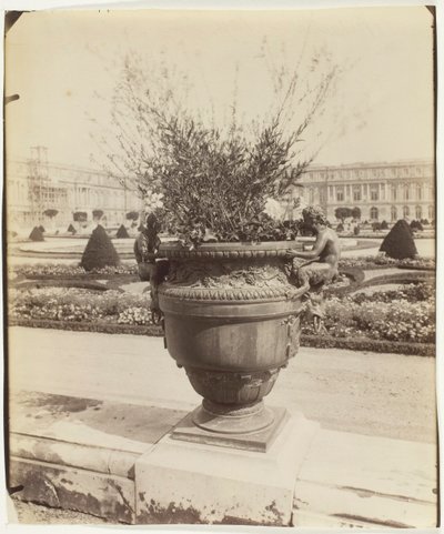Versay, Vazo, Ballin, 1902. by Eugène Atget