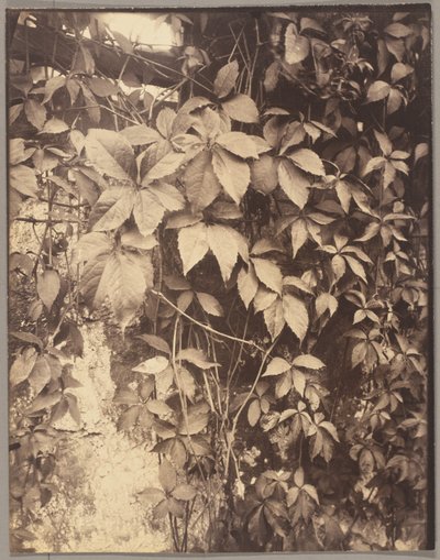  by Eugène Atget
