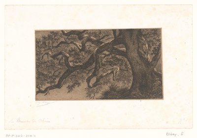Kastanjetakken Meşe Dalları (nesne üzerindeki başlık) Fontainebleau Ormanı'ndan Küçük Görünümler (dizi başlığı) by Eugène Bléry (signed by artist)