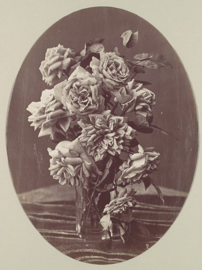 [Güller], ca. 1875. by Eugène Chauvigné