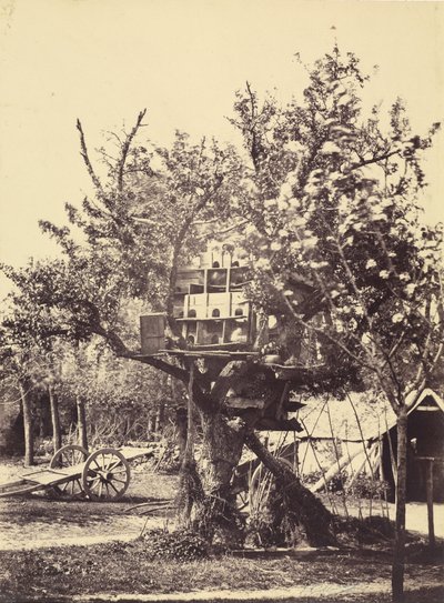Ağaçta Güvercin Evi by Eugène Colliau