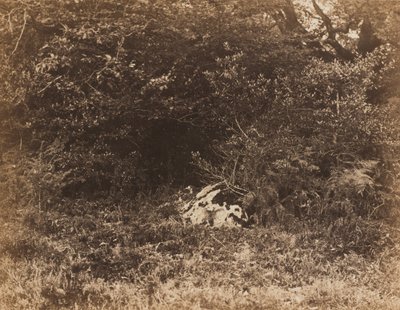 Ormanda Bir Kaya, c. 1865. by Eugène Cuvelier