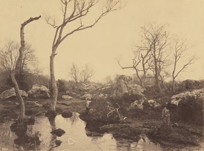 Güzel Haç, c. 1858. by Eugène Cuvelier