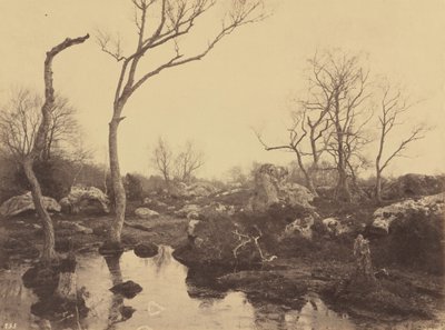  by Eugène Cuvelier