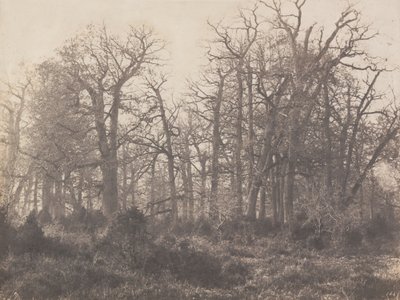 Dikenin Kavşağı by Eugène Cuvelier