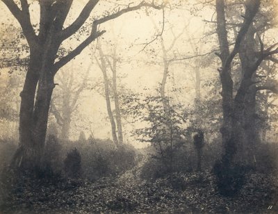 [Fontainebleau Ormanı], 1860