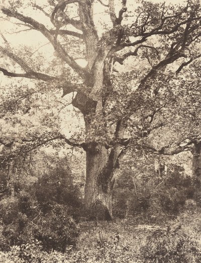 Bodmer'ın yakınında by Eugène Cuvelier