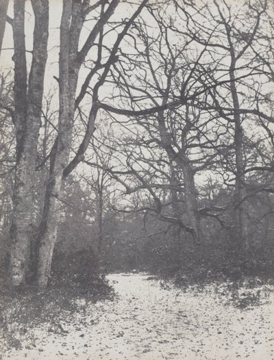 Ormanda Yol, 1860-1863. by Eugène Cuvelier