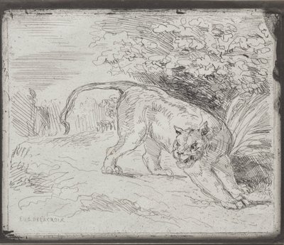 kapana kısılmış kaplan by Eugène Delacroix