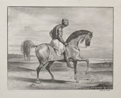 at sırtında afrika by Eugène Delacroix