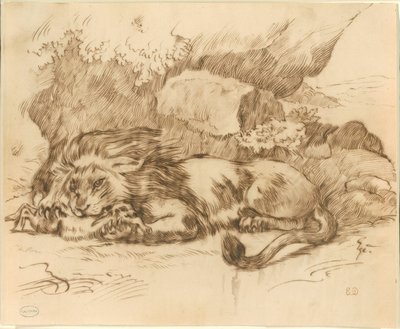 Tavşanı Yiyen Aslan by Eugène Delacroix