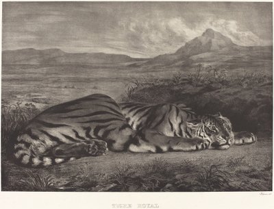 Kraliyet Kaplanı Tigre Kraliyet, 1829. by Eugène Delacroix