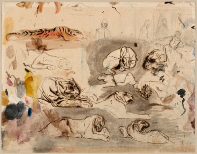16. Yüzyıl Kostümlü Kaplanlar ve Erkekler Eskizleri by Eugène Delacroix