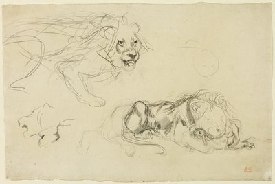 Aslan Çalışmaları by Eugène Delacroix