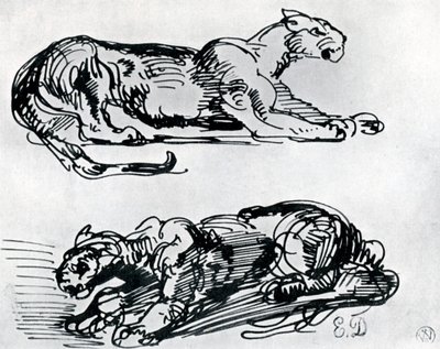 Panter Çalışmaları, 1913 by Ferdinand Victor Eugene Delacroix